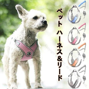 pn[lX [hZbg ^ ^ V  ybgn[lX ˍޕt ₷ Ȃ ȒPE y K ʋC bV NbVt \ Sy U o