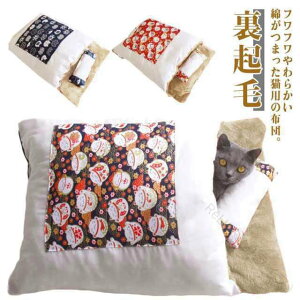 ybgzc xbh ybgxbh ӂƂ  L N  킢 Q ybg}bg NbV ybgpQ LbgnEX 傫 킢 ybgnEX LObY zc ybg