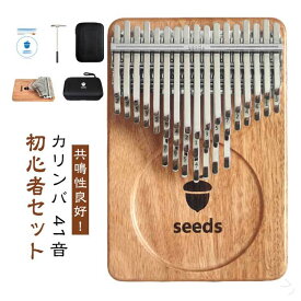 初心者 セット 親指 ピアノ 41音 ケース チューニング 済み 指サック 教本 入門書 チューナー 天然 木製 マホガニー カリンバ かりんば おしゃれ 可愛い 楽器 楽譜 子供 高齢者 サムピアノ