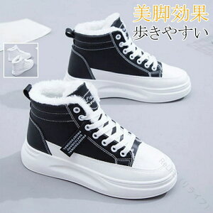 Xj[J[ V[Y N nCJbg X|[c jO Xm[u[c PUf ^C ₷ ~ߕt  h H~p g JWAV[Y