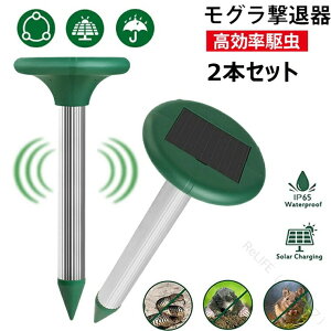 g쏜 lY~ފ ފ Oފ ފ \[[   ǔL lY~ގ Qb΍ 2Zbg dsv ԉғ Qb쏜pi