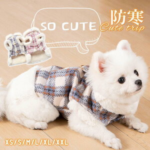  ybgEFA ̕  DJt `FbN hbOEFA ybgpi  g H~t {A h RR ӂӂ U oɍœKȌyʉKfUC