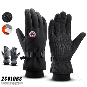 XL[O[u  Y Xm[{[h O[u X}zΉ ^b`pl g h h ~  AEghA ] oCNp yʂőϋvɗDꂽh@\t~pO[u