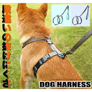  L n[lX [ht Eɂ ̂ɗD EFAn[lX ybg  Lbg hbO TCY\ yʂňSȃybgpn[lX