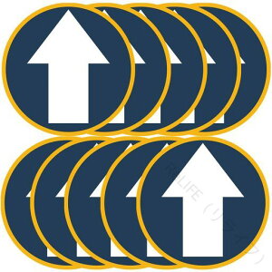 V[ tAUV[ 25cm TC hdl Ĕ\ S^Cv XebJ[ 10Zbg pU}[N OΉ Sw\pi