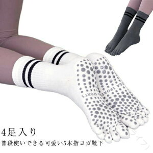 K\bNX ȑf 5{w\bNX ~ߕt Ƃ jO\bNX seBXp H~Ή ߏ fB[X X|[c\bNX   O[ p[v C\bNX