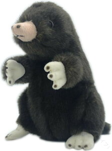 [bpO ʂ    킢 A  Gǂ n _炩 YQ Q C ObY Q  o^C NX}X v[