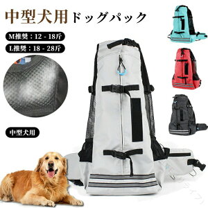 t`uhbO Č p ybgp bN ܂肽݉\ y ʋCǂ p obO o U ʉ@  sp ybgbN Lp ybgpi @\