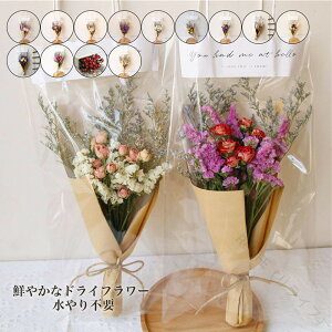 hCt[ u[P \ ԑ hV̓ ݑ ̓  X^[`X o ԍ XC[c `RȊO vU[uht[u[P av[g [J Ǐ N ސE 