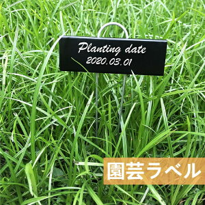 Ax S T^ hKH |px Ԃ̖O^O 10{Zbg ubN A | K[f ~̓^O ^ x Ŕ Ԍ|p