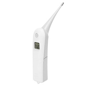 Lp̉vAp̉v lԍHwɊÂnh ƒ{p ؗp p rp