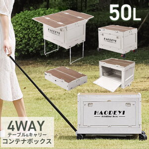 ܂肽݃Rei 50L e[u e Rei{bNX Wt [{bNX t^t VFt [P[X ܂ AEghA Lv BBQ O   [ AEghAS 