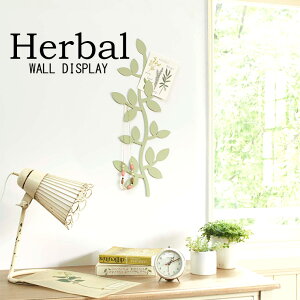 EH[fBXvC n[o O[ 2242 uE 2243 EH[|Pbg CeAG  EH[fR AG tώG ΐF Vv  킢 ANZT[  G