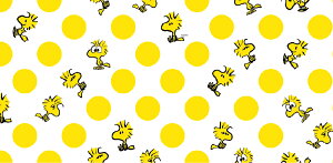 }XLOe[v CNV[g mt casa Peanuts s[ibc J H  L 270mm 900m \  NN LC Lʐ CeAp}XLOe[v \邾ȒP TA