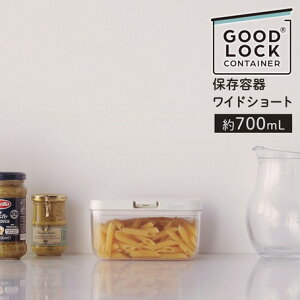 GOOD LOCK CONTAINER ۑe ChV[giNA K762CL/zCg K762W)}[iiMARNAjV[gpX^250gApbN30TCY