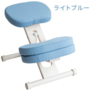 v|[V`FALbY W wK֎q p LwP  p  ׋  q [g  g110cm fXN`FA p [g[N e[N ItB