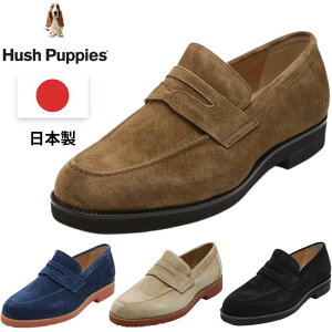 nbVps[ Hush Puppies M-104T Y XG[h[t@[ JWAV[Y C ؊v v L3E Xb| ubN uE x[W lCr[ { y IV Xj[J[ g