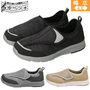 V[Y yWI AyWI fB[X C RtH[gV[Y y }WbNe[v ₷  R hL  ubN O[ x[W BLS-2865