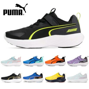 v[} PUMA LbY WjA Xj[J[ Xs[hX^[ V5 V[Y qp ^C 309935 PUMA Speed Monster V5 j̎q ̎q