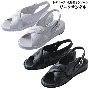 i[XT_ fB[X T_ [NT_ L65014 ᔽC\[ i[XT_ ubN zCg  