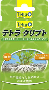 y󂠂zeg (Tetra) Nvg 10 狭i 엿 ܃^Cv 