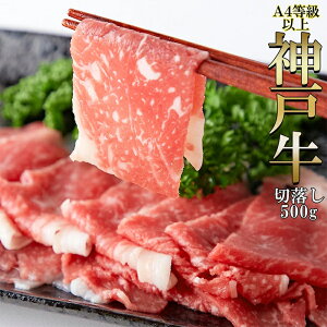  A4ȏ!!~ɊyIʁz_ˋ؂藎Ƃ500g Luhu_ˋvA4Nȏ𖳑Iʐ؂藎Ƃłǂ肨ɂ͂!!yszyYnz