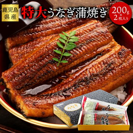 送料無料 日本ギフト大賞鹿児島県賞受賞!!国産特大うなぎ蒲焼き200g×2袋【代金引換不可】【産地直送】