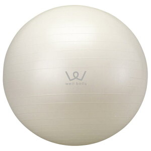 �A���C���R(ALINCO) �o�����X�{�[�� �y30cm�z �y55cm�z �y65cm�z �G�A�[�|���v�t