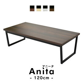 センターテーブル テーブル ローテーブル 幅120 リビングテーブル カフェ コーヒーテーブル アイアン ウッド 西海岸 木製 北欧 シンプル 一人暮らし アニータ120 ドリス