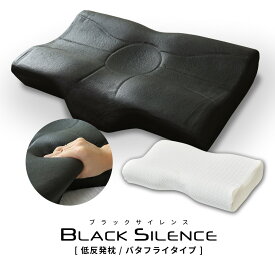 枕 まくら 竹炭 消臭 低反発 洗えるカバー付き 肩こり 首こり 低反発まくら 寝返り 横向き まくらカバー いびき 加齢臭 安眠 快眠 誕生日 プレゼント ブラックサイレンス 枕バタフライ ドリス