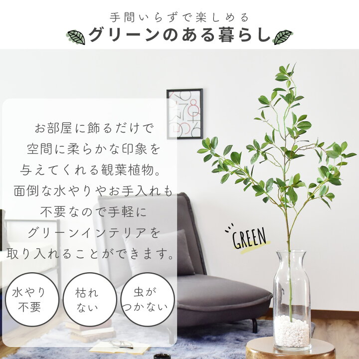 楽天市場 人工観葉植物 光触媒 フィカス ガラス鉢 水やり不要 インテリアグリーン 観葉植物 造花フィカス ガラス鉢 送料無料 Remembrance Doris