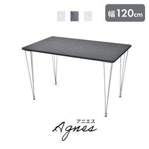 _CjOe[u 120cm Z~bN Z~bN    _CjO \t@[ e[u rOe[u p\RfXN fXN wK He[u k l炵 AjGX