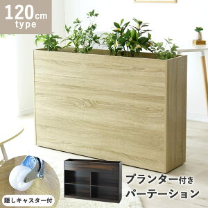 [ Ԏd؂ ItBX ڎ 120 s30 80  p[e[V ՗  v^[ {bNX eBX ϗtA p[eBV Lb`[ rO {I  }K 