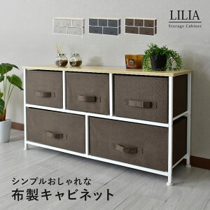 衣類収納 チェスト 収納ボックス 収納ケース 二段 子ども服収納 子ども用タンス リングインテリア リビング収納 布製ボックス お風呂場収納 整理棚 北欧 奥行30 リリア