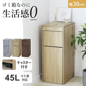 �S�~�� ���ݔ� �_�X�g�{�b�N�X �_�X�gBOX �ؖڒ� 45L 45���b�g�� �L�b�`�� ���r���O �Q�� ���� ������� ��e�� �p�^ �L���X�^�[�t�� �R���p�N�g �C���e���A �ؖ� �X�C���O�� �X�^�C���b�V�� ��