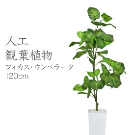 【10％OFFクーポン★4/28 0時～4/29 24時】 人工観葉植物 フェイクグリーン 観葉植物 フィカス ウンベラータ インテリアグリーン 造花 光触媒 5号 鉢 水やり不要 インテリア お祝い 結婚 父 母 お祝い お礼 贈り物 プレゼント フィカスウンベラータ