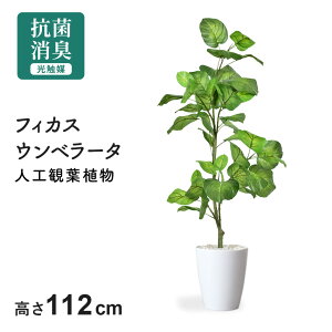 yN[|20%off 2600`26z lHϗtA sv i 񂽂ݒu tFCNO[ tFCNvg p t u ϗtA CeAO[  G} 5