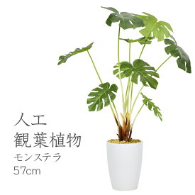 【レビュー特典あり】 人工観葉植物 光触媒 モンステラ57cm 水やり不要 高さ57 インテリアグリーン 観葉植物 造花モンステラ57cm 送料無料