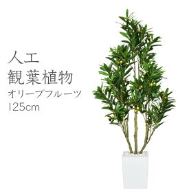 人工観葉植物 光触媒 オリーブフルーツ125cm 水やり不要 高さ125 インテリアグリーン 観葉植物 造花オリーブフルーツ125cm 送料無料