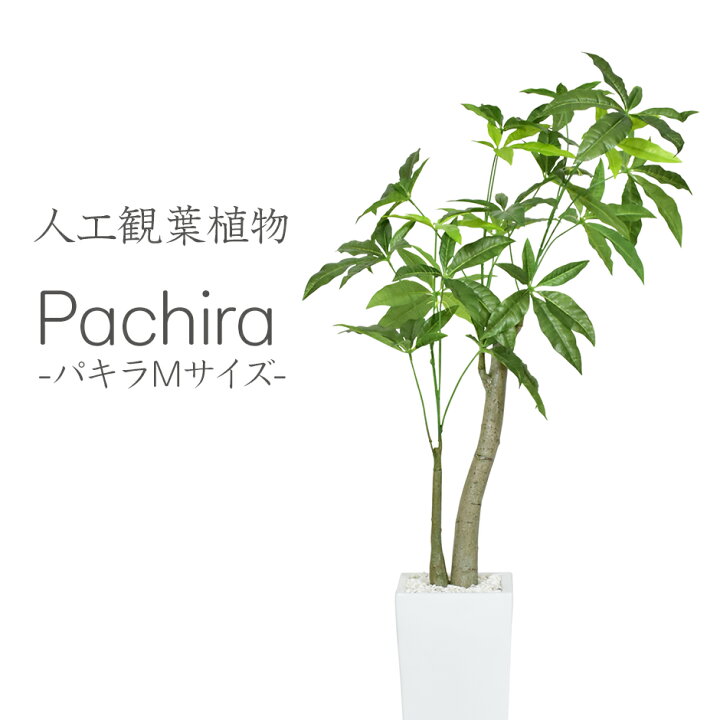 楽天市場 人工観葉植物 フェイクグリーン 観葉植物 パキラ 造花 光触媒 鉢 水やり不要 インテリア おしゃれ お祝い 誕生日 出産内祝い お返し 結婚 父 母 男性 女性 彼氏 彼女 お祝い お礼 贈り物 プレゼント パキラm ドリス 送料無料 Remembrance Doris
