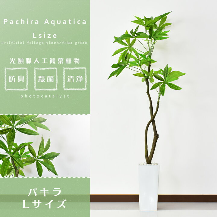 楽天市場 クーポン オフ 4 13 12時 24時 パキラl 高さ140 160 人工観葉植物 光触媒 パキラ140cm 水やり不要 高さ140 インテリアグリーン 観葉植物 造花 パキラl 新生活応援 送料無料 引越し祝い Remembrance Doris