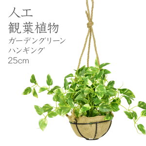 観葉植物 ハンギング 光触媒の人気商品 通販 価格比較 価格 Com