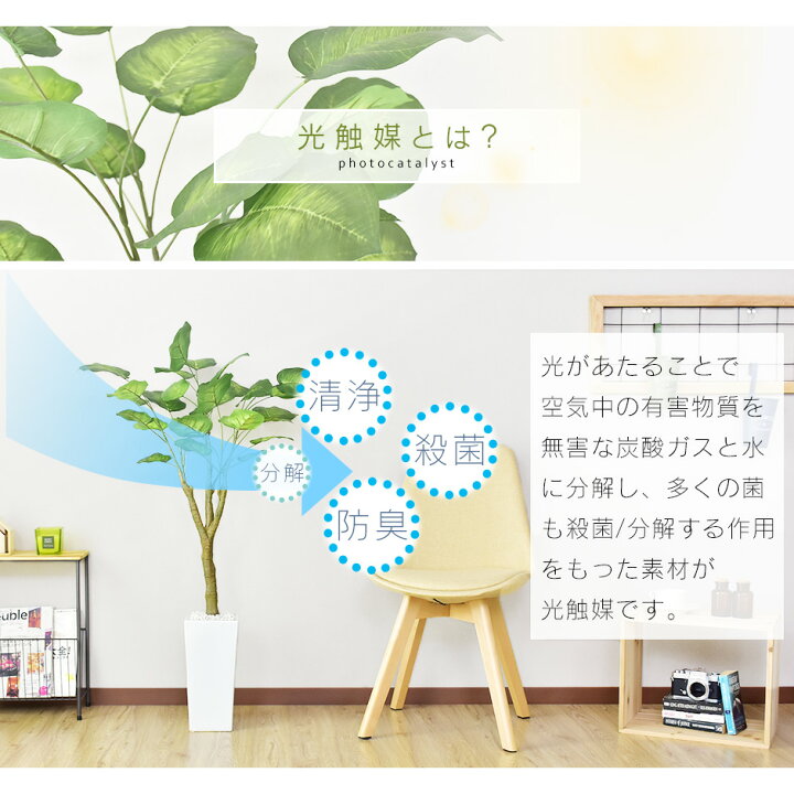 楽天市場 3 1限定 クーポン オフ 人工観葉植物 光触媒 ウンベラータ 水やり不要 インテリアグリーン 観葉植物 造花 ウンベラータ 新生活応援 送料無料 Remembrance Doris 楽天市場 3 1限定 クーポン オフ 人工観葉植物 光触媒 ウンベラータ 水やり不要 インテリアグリーン 観葉植物 造花 ウンベラータ 新生活応援 送料無料 Remembrance Doris