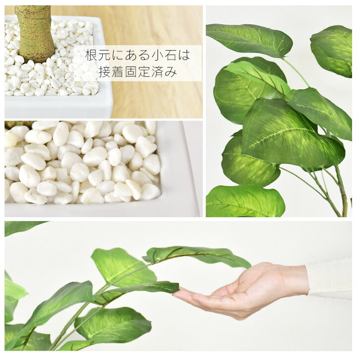 楽天市場 3 1限定 クーポン オフ 人工観葉植物 光触媒 ウンベラータ 水やり不要 インテリアグリーン 観葉植物 造花 ウンベラータ 新生活応援 送料無料 Remembrance Doris 楽天市場 3 1限定 クーポン オフ 人工観葉植物 光触媒 ウンベラータ 水やり不要 インテリアグリーン 観葉植物 造花 ウンベラータ 新生活応援 送料無料 Remembrance Doris