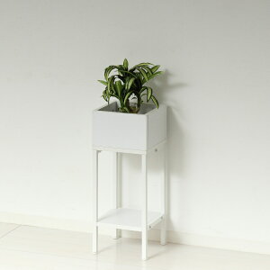 v^[X^h [^Cv k ^  lH^ Ch  ϗtA v^[ Aؔ   A A ȃXy[X  t[X^h CeA  CeA G