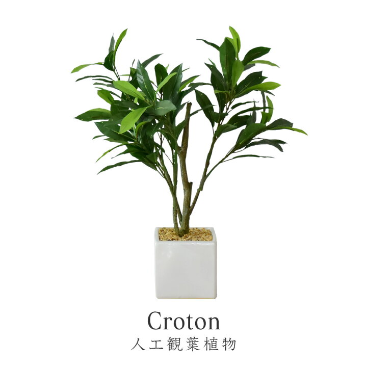 楽天市場 楽天スーパーsale Offクーポン対象商品 観葉植物 人工観葉植物 フェイクグリーン クロトン 送料無料 Ss03 Remembrance Doris