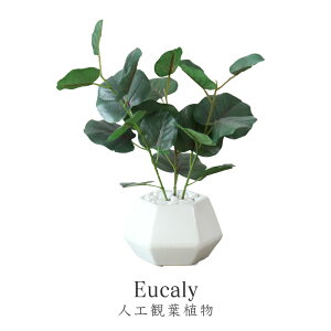 yN[|20%off 2600`26z lHϗtA sv i 񂽂ݒu tFCNO[ tFCNvg p t u [J  G} sv CeA 