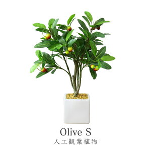 yN[|20%off 2600`26z lHϗtA sv i 񂽂ݒu tFCNO[ p t u I[u  G}  sv CeA j a 