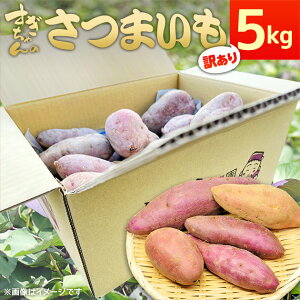 【訳あり】さつまいも（安納芋or紅はるかorシルクスイート）5kg 送料無料 静岡県産 R5年産 3S/2S/S/M/Lサイズ混合 さつま芋/甘薯