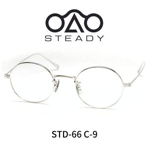 STEADY �X�e�f�B ���K�l �ዾ STD-66 C6 �V���o�[